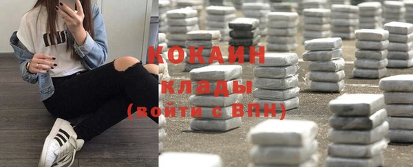 ПСИЛОЦИБИНОВЫЕ ГРИБЫ Алзамай