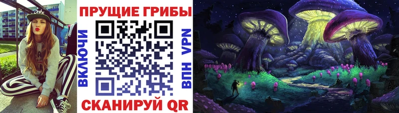 купить наркотик  Задонск  Галлюциногенные грибы Cubensis 