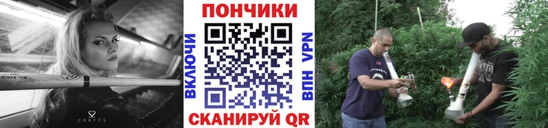Канабис планчик купить Задонск